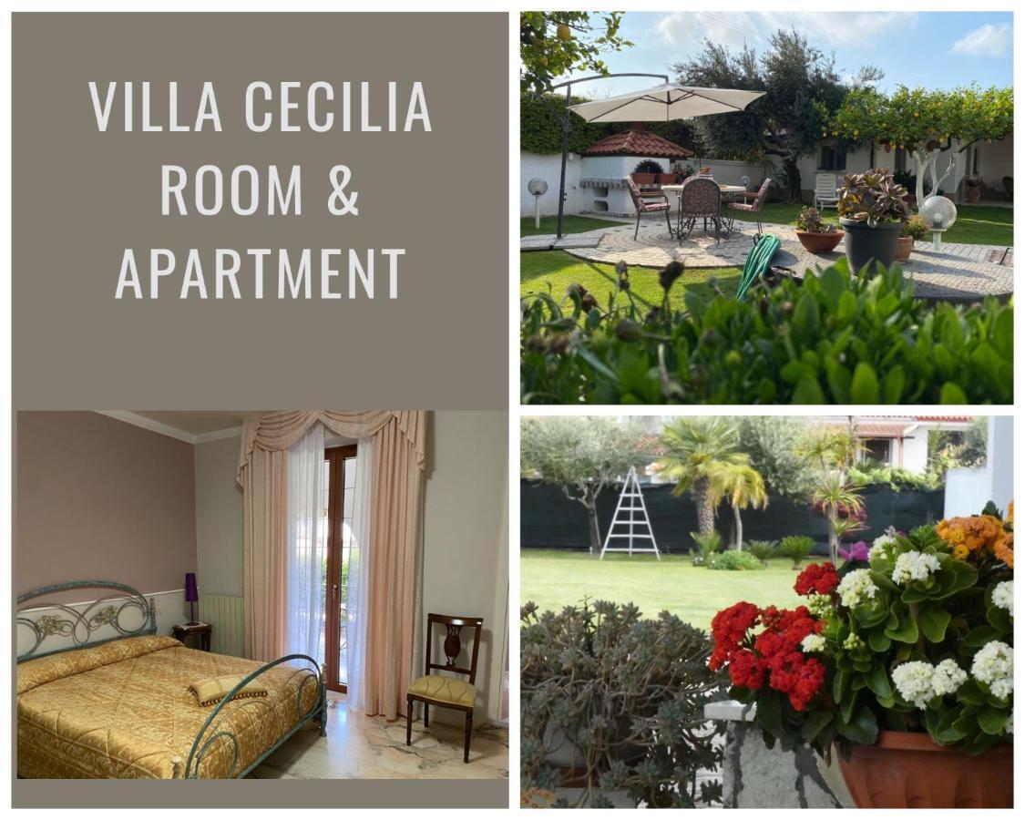 Villa Cecilia Bed And Breakfast Cellole Luaran gambar